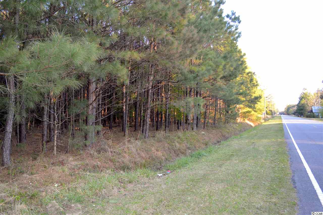 Tbd West Bear Grass Road Longs, SC 29568 - Photo 2 of 11 Gallery Image 2