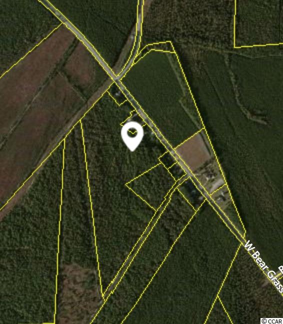 Tbd West Bear Grass Road Longs, SC 29568 - Photo 11 of 11 Gallery Image 11