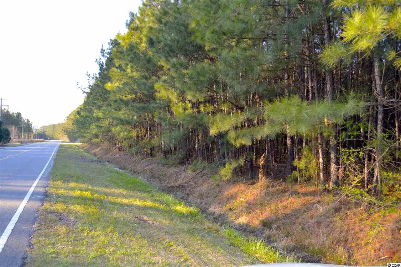 Tbd West Bear Grass Road Longs, SC 29568 - Photo 3 of 11 Gallery Image 3