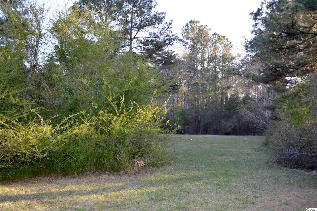 Tbd West Bear Grass Road Longs, SC 29568 - Photo 7 of 11 Gallery Image 7