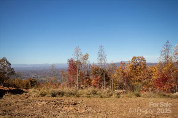 a view of a field with trees in background