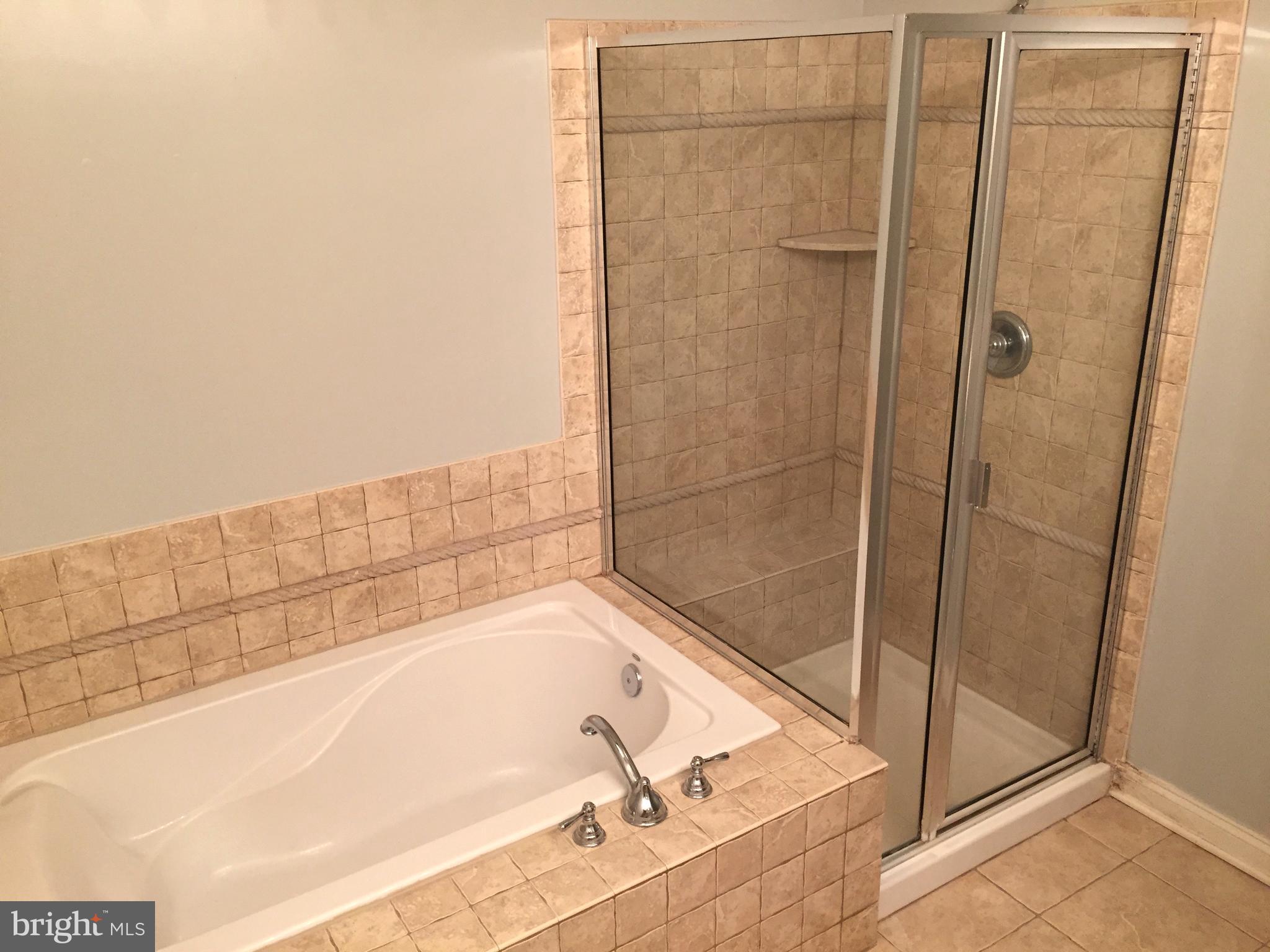 6828 Witton Circle Gainesville, VA 20155 - Photo 10 of 19 Master Bathroom