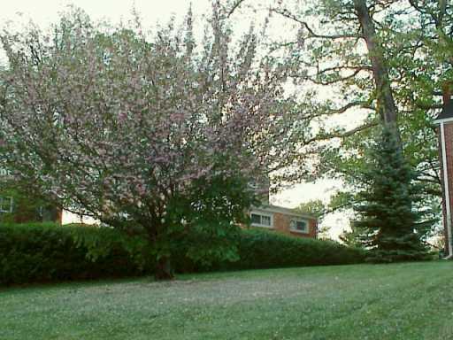8093 Peebles Road Pittsburgh, PA 15237 - Photo 3 of 5