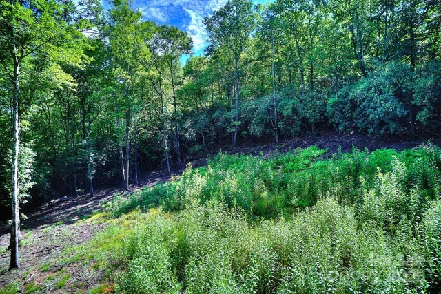 $87,000 | 0 School House Road, Pisgah Forest, NC 28768