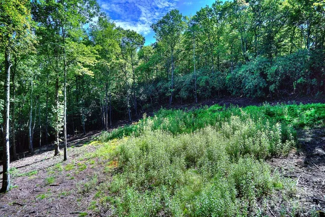 $87,000 | 0 School House Road, Pisgah Forest, NC 28768