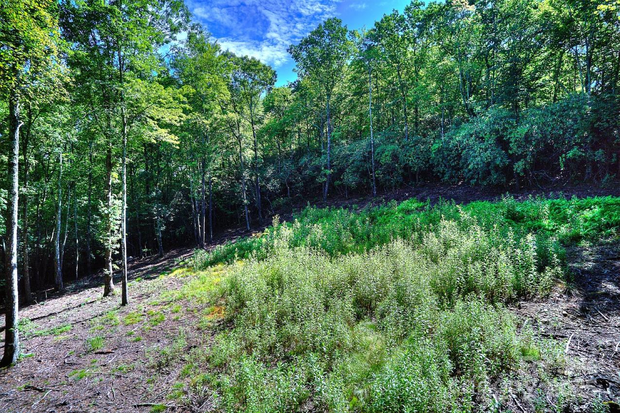 0 School House Road Pisgah Forest, NC 28768 - Photo 12 of 17