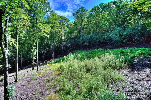 $87,000 | 0 School House Road, Pisgah Forest, NC 28768