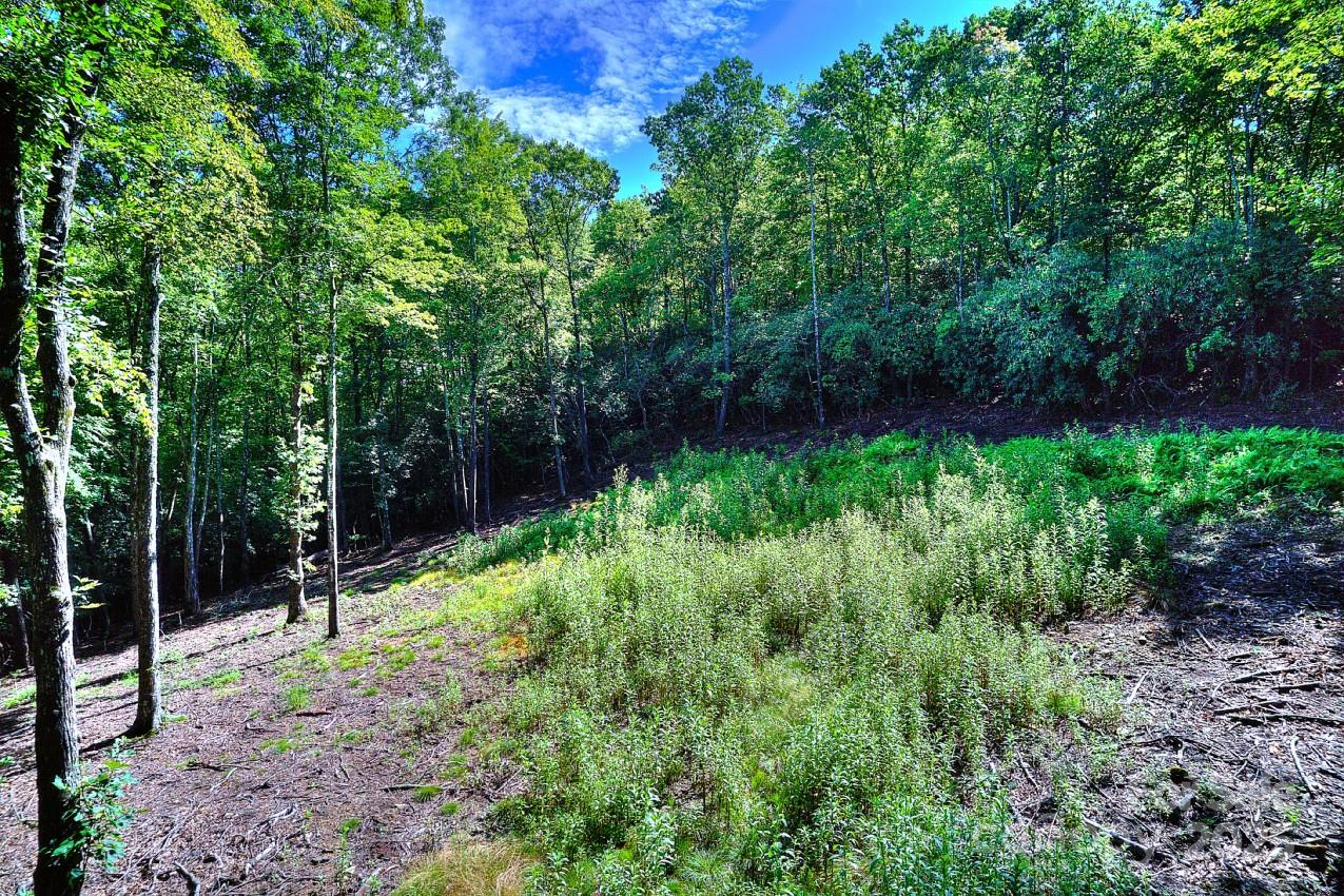 0 School House Road Pisgah Forest, NC 28768 - Photo 13 of 17