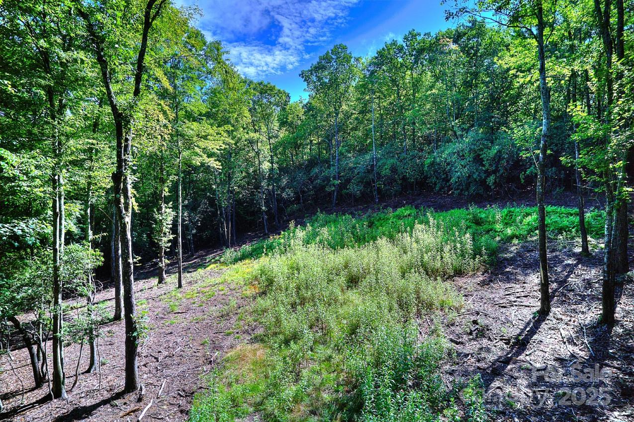 0 School House Road Pisgah Forest, NC 28768 - Photo 14 of 17