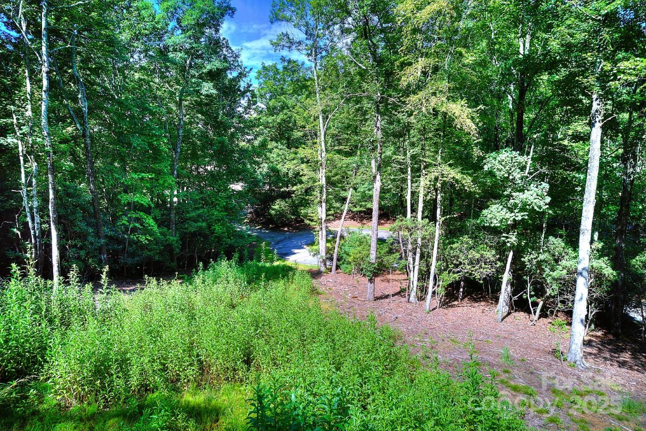 0 School House Road Pisgah Forest, NC 28768 - Photo 15 of 17