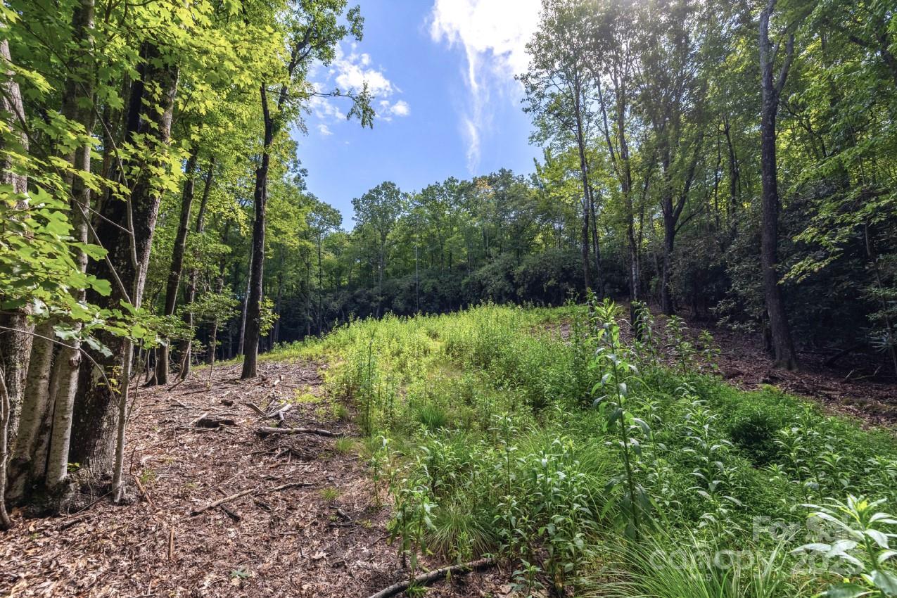 0 School House Road Pisgah Forest, NC 28768 - Photo 4 of 17