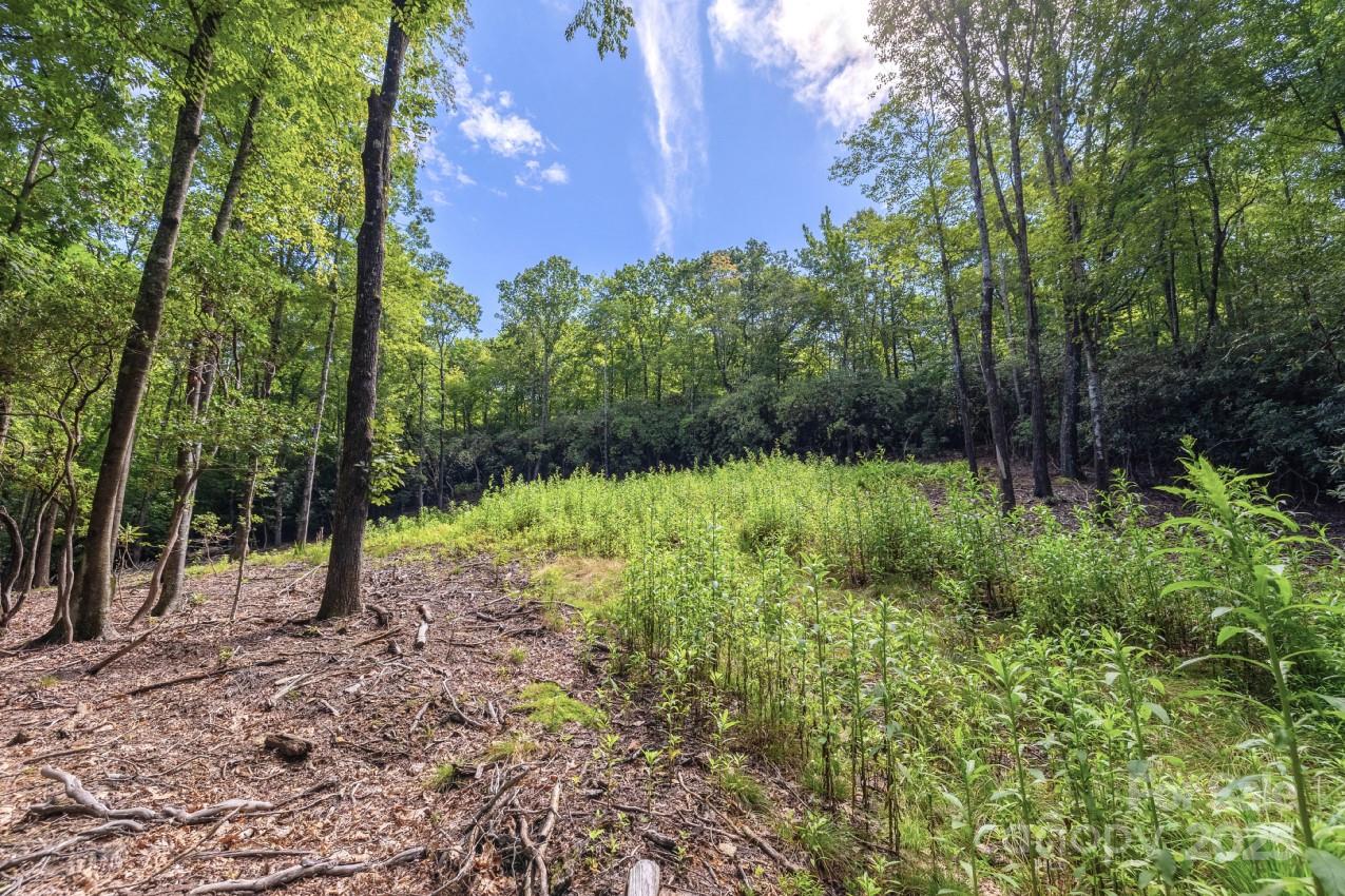 0 School House Road Pisgah Forest, NC 28768 - Photo 5 of 17