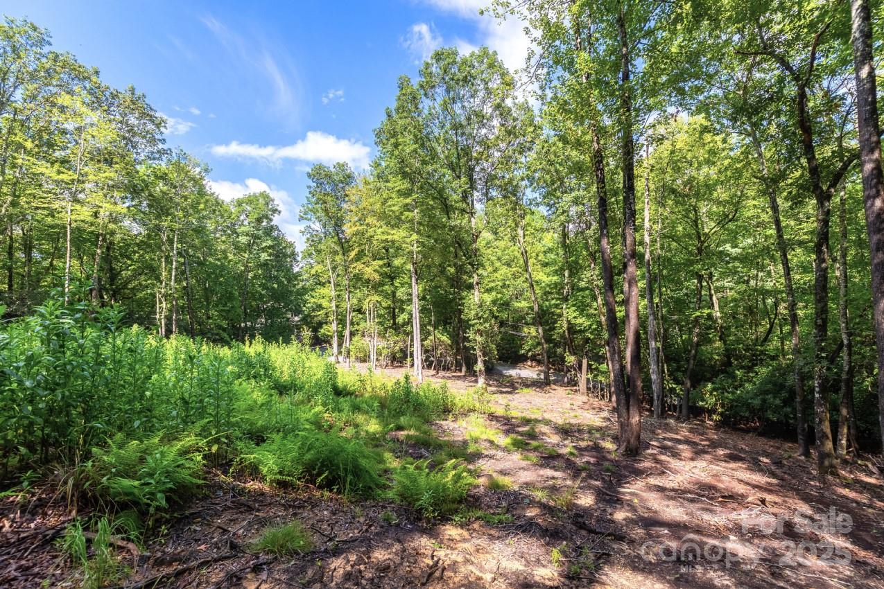 0 School House Road Pisgah Forest, NC 28768 - Photo 6 of 17