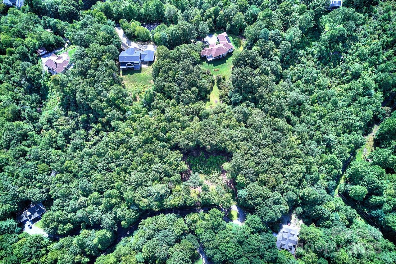 0 School House Road Pisgah Forest, NC 28768 - Photo 9 of 17