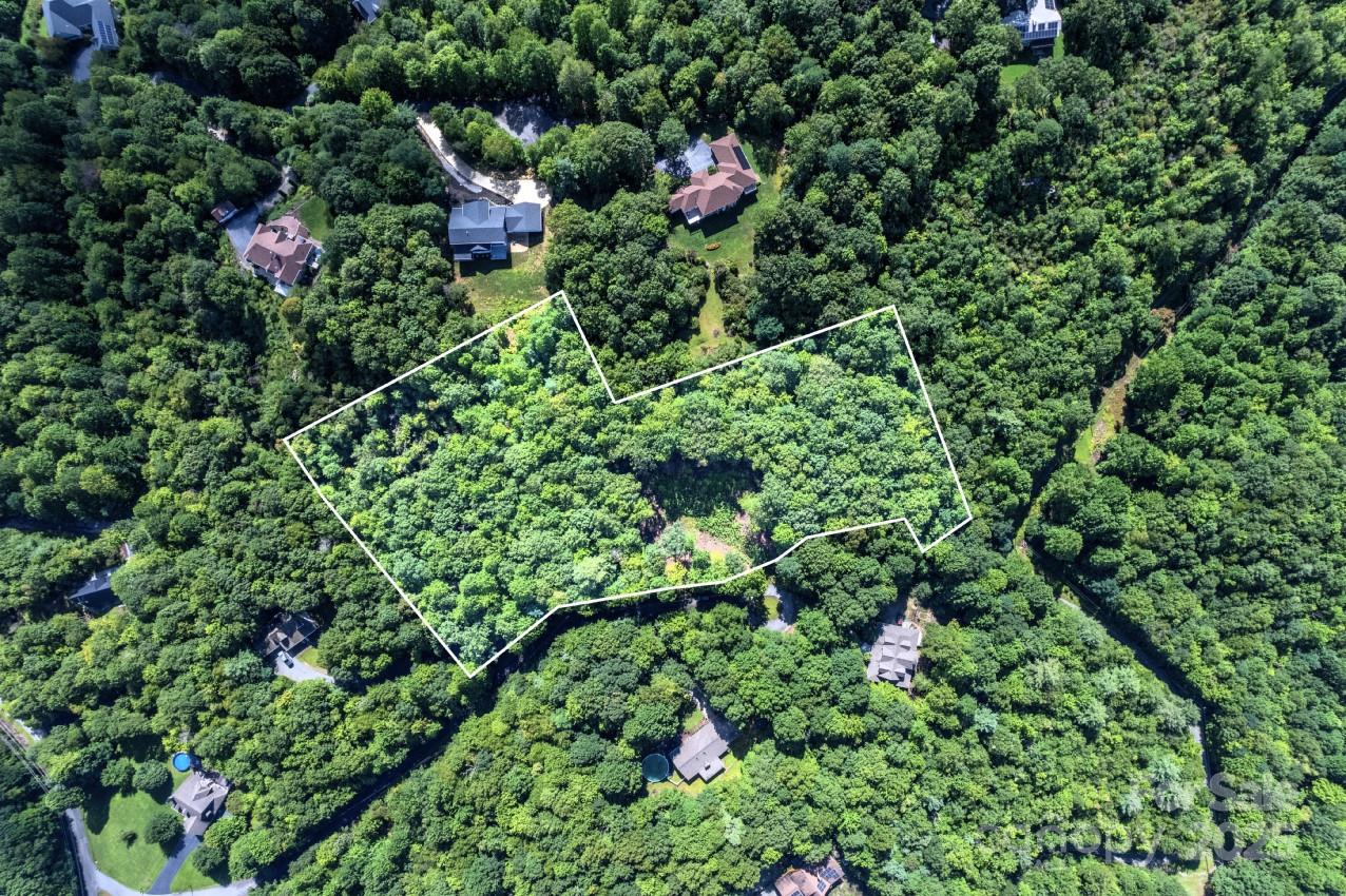 0 School House Road Pisgah Forest, NC 28768 - Photo 10 of 17