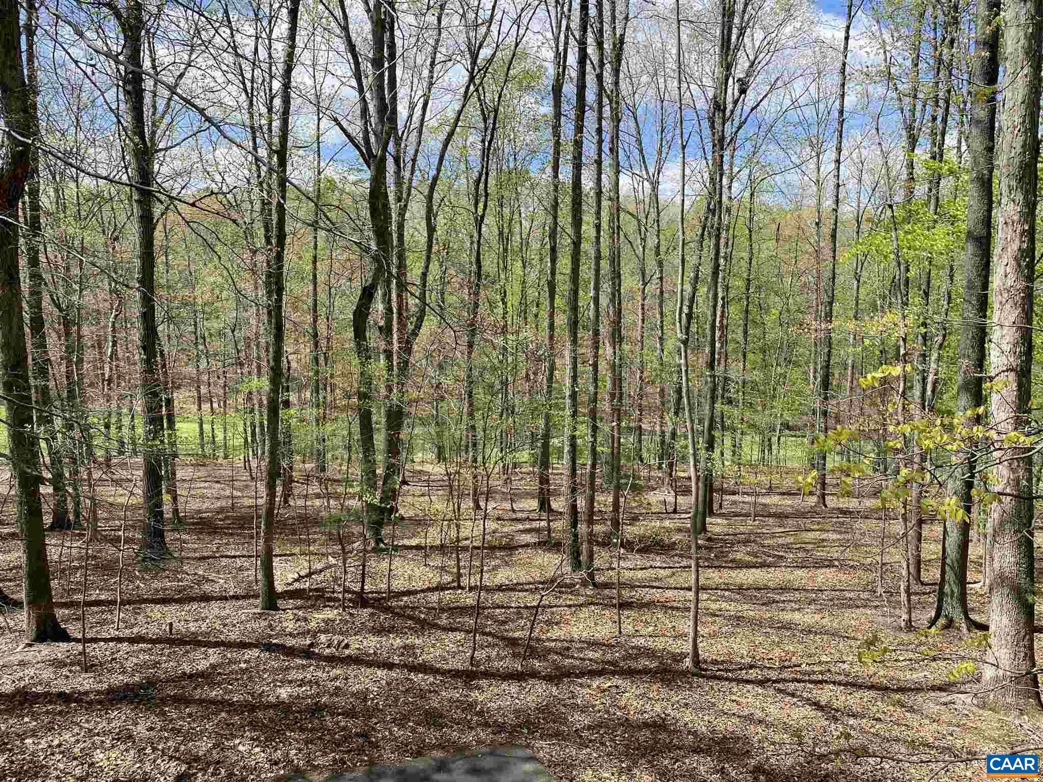 51 Oak Grove Road Palmyra, VA 22963 - Photo 50 of 52 a view of a garden