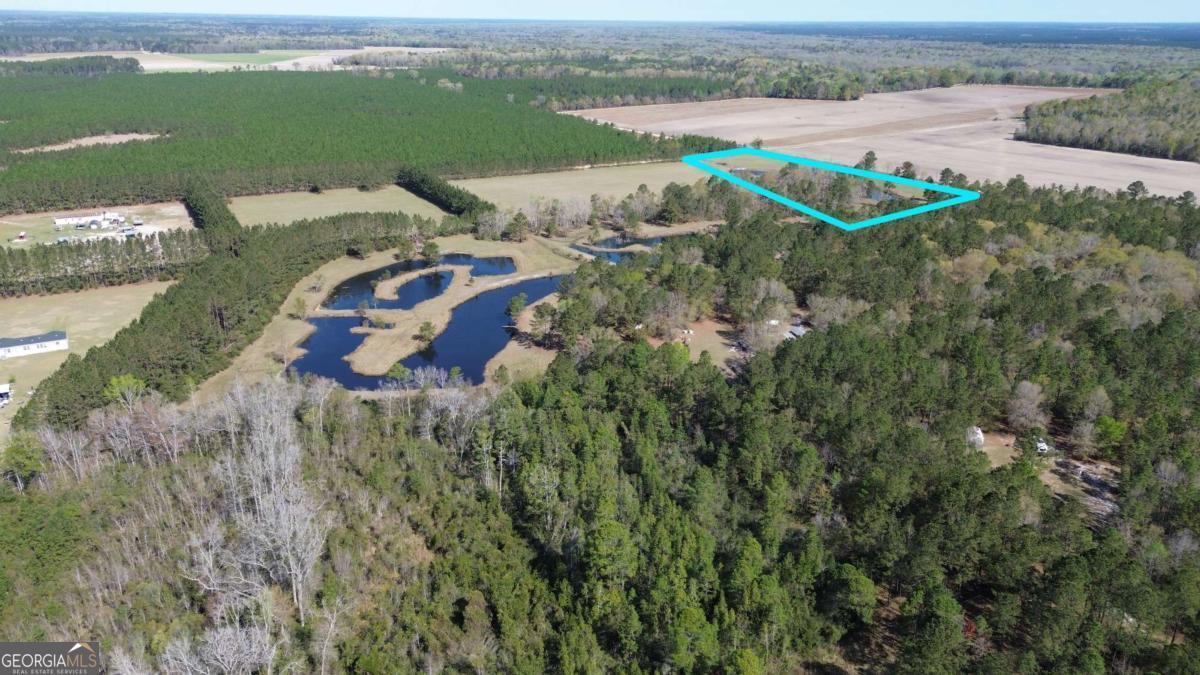 680 Porter's Landing Road, Unit LOT 1 Clyo, GA 31303 - Photo 1 of 12