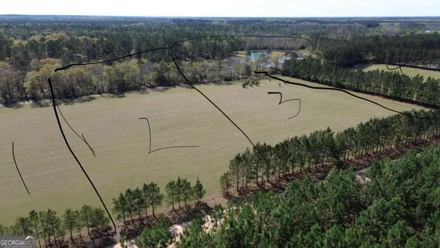 $189,000 | 680 Porter's Landing Road, Unit LOT 1, Clyo, GA 31303