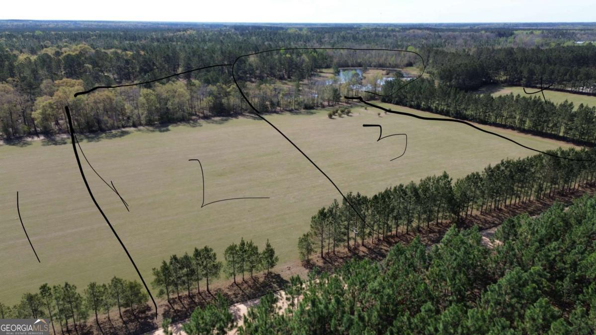 680 Porter's Landing Road, Unit LOT 1 Clyo, GA 31303 - Photo 11 of 12