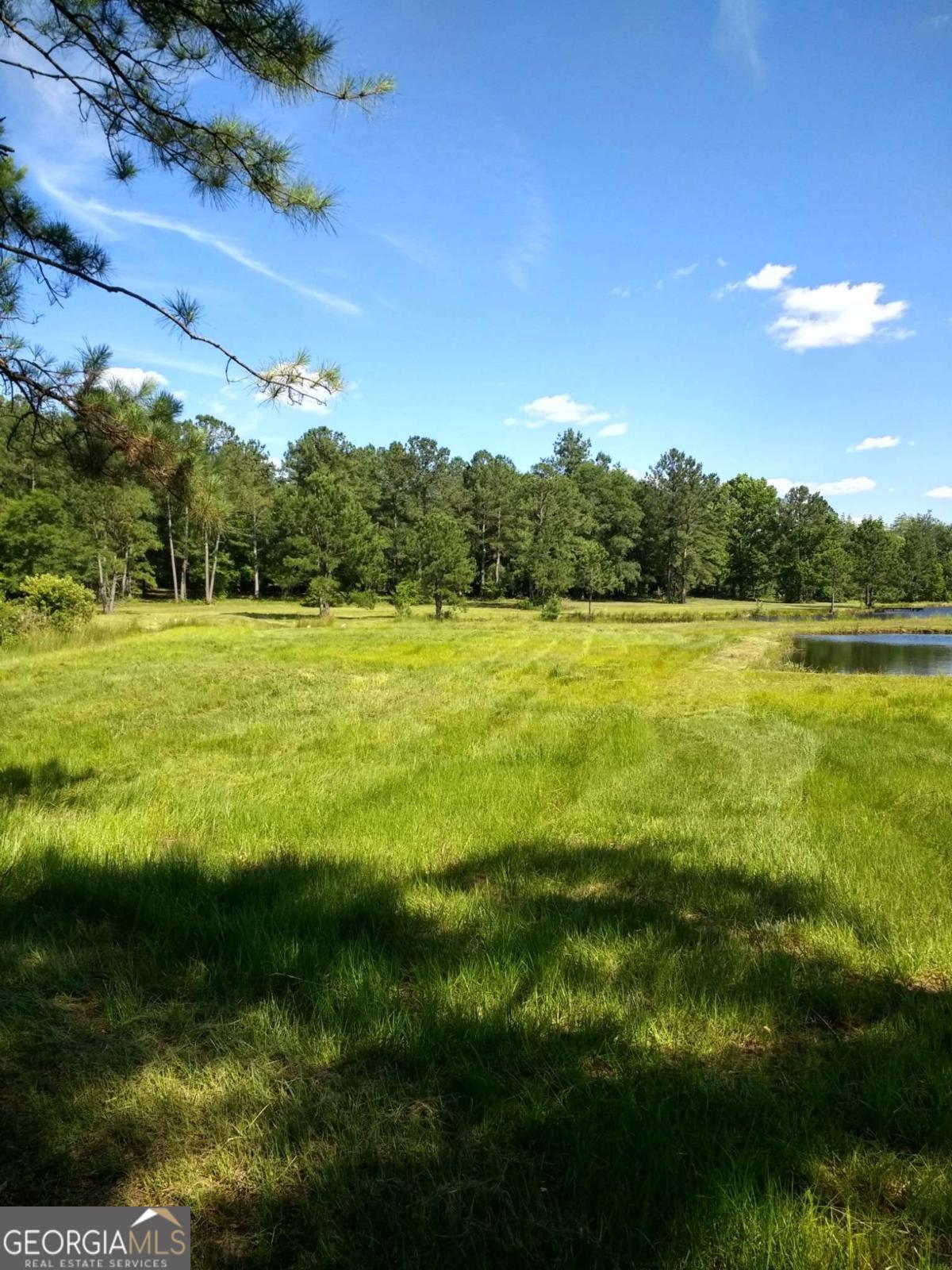 680 Porter's Landing Road, Unit LOT 1 Clyo, GA 31303 - Photo 12 of 12