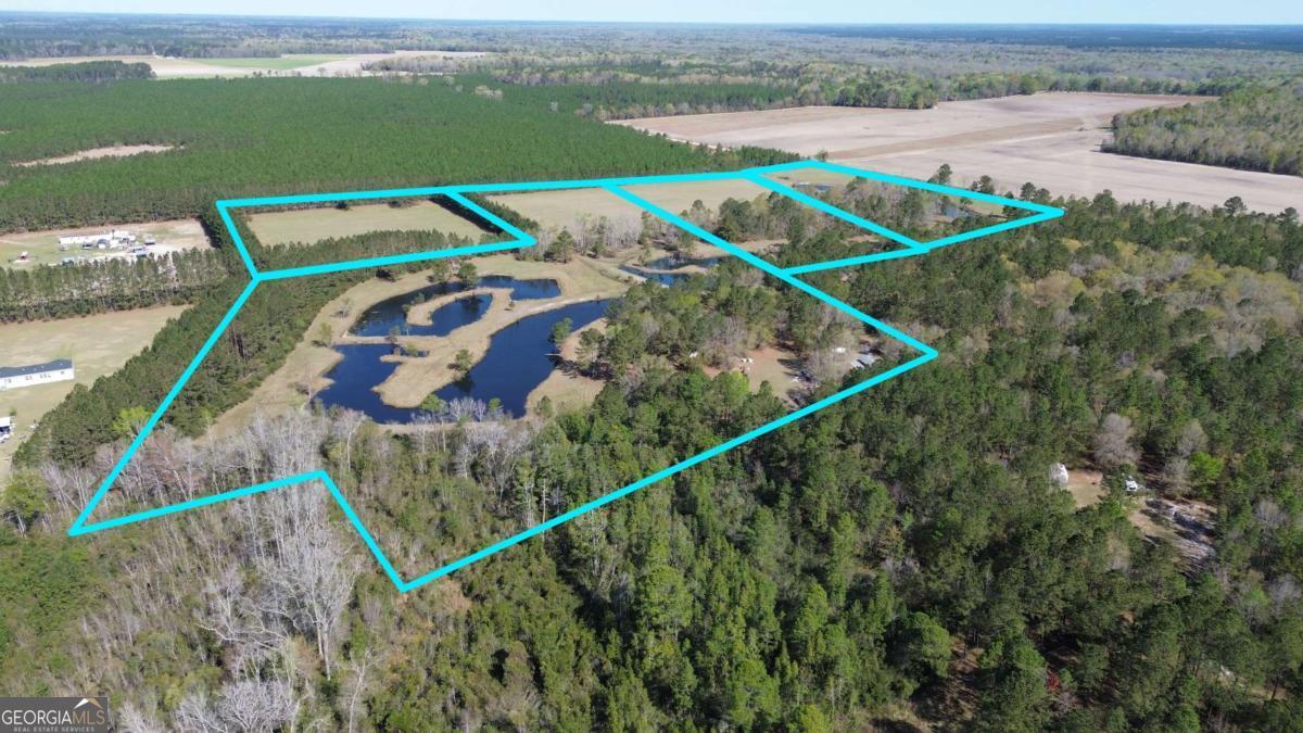 680 Porter's Landing Road, Unit LOT 1 Clyo, GA 31303 - Photo 3 of 12