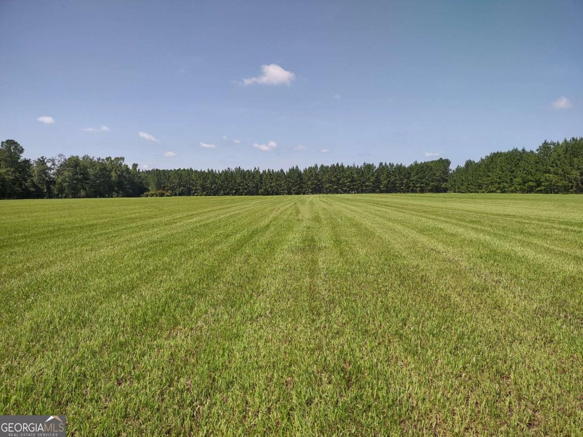 680 Porter's Landing Road, Unit LOT 1 Clyo, GA 31303 - Photo 5 of 12