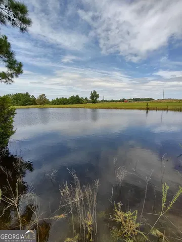 $189,000 | 680 Porter's Landing Road, Unit LOT 1, Clyo, GA 31303