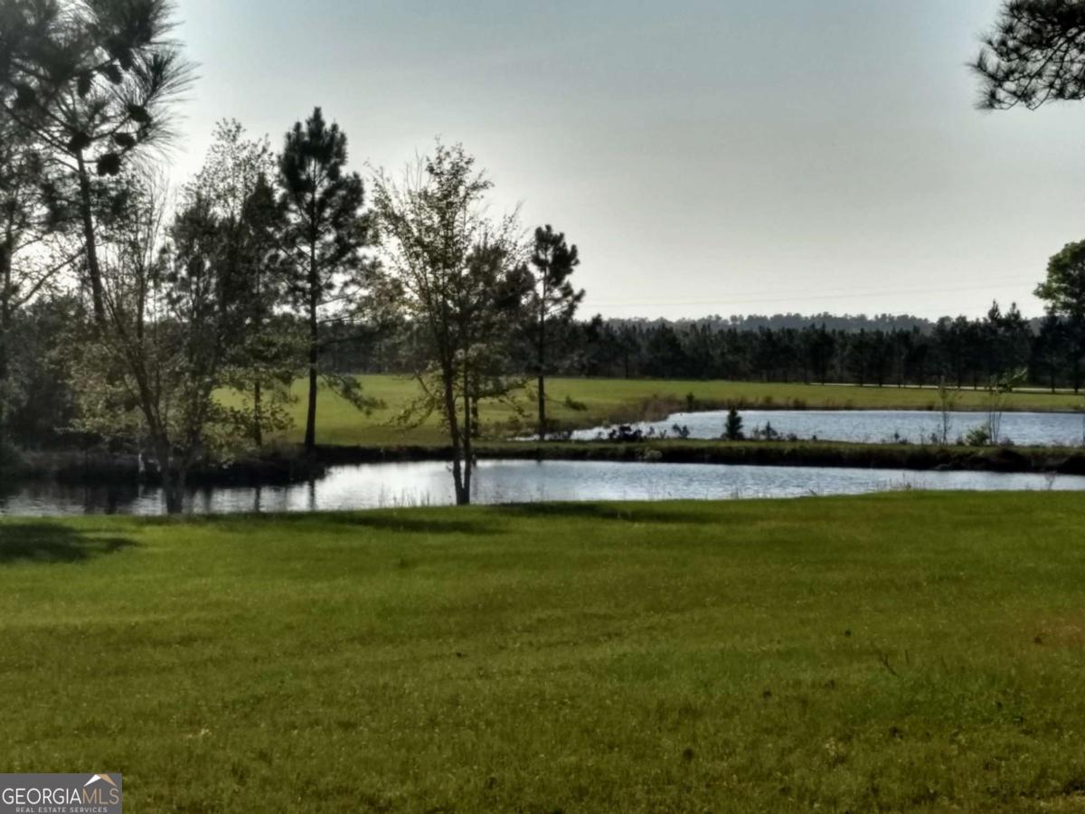 680 Porter's Landing Road, Unit LOT 1 Clyo, GA 31303 - Photo 9 of 12