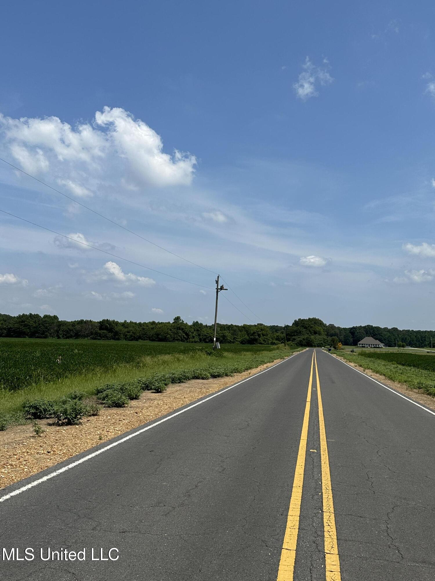 0 Wheeler Road Hernando, MS 38632 - Photo 2 of 4 IMG_8181