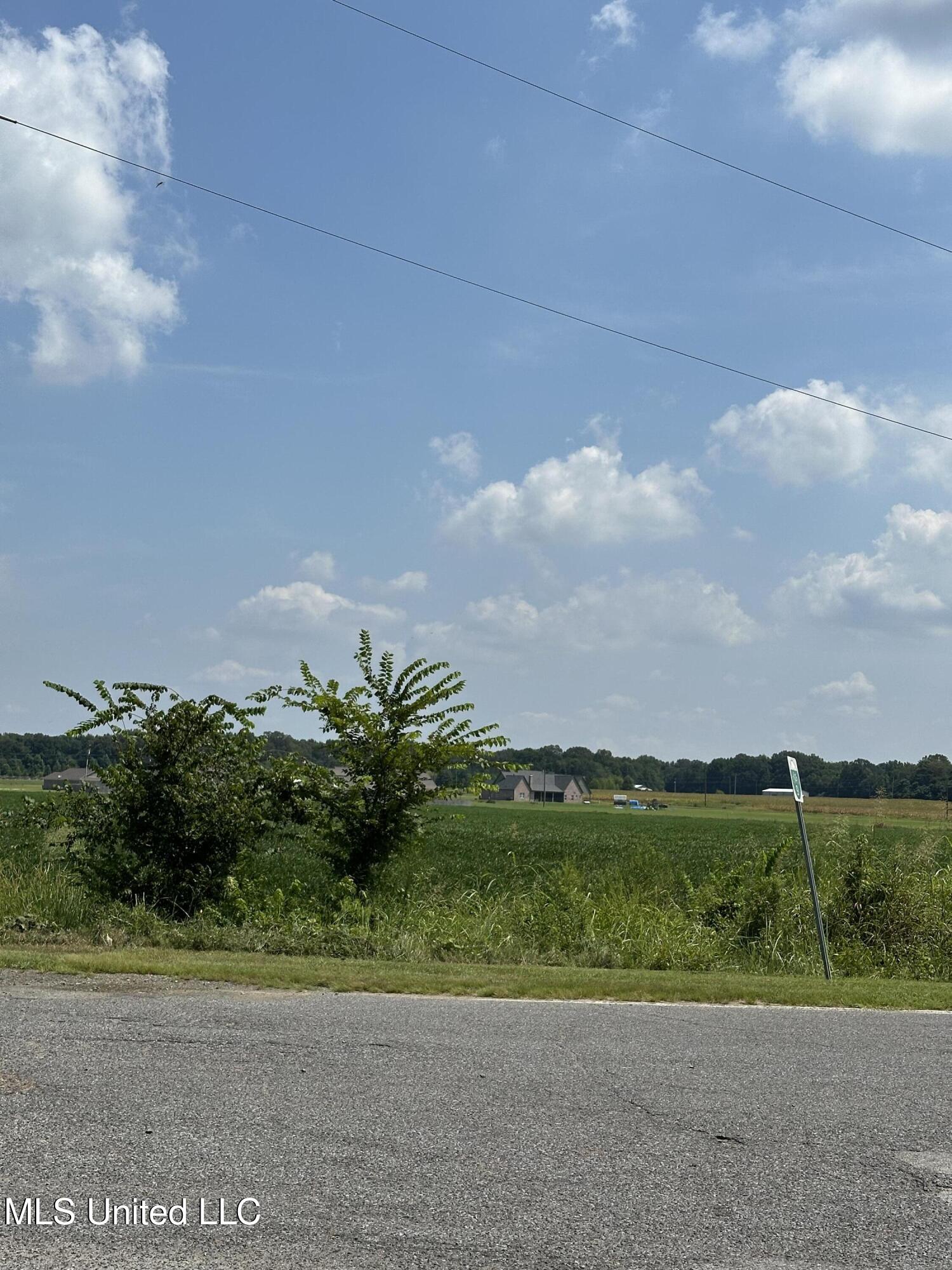 0 Wheeler Road Hernando, MS 38632 - Photo 3 of 4 IMG_8172