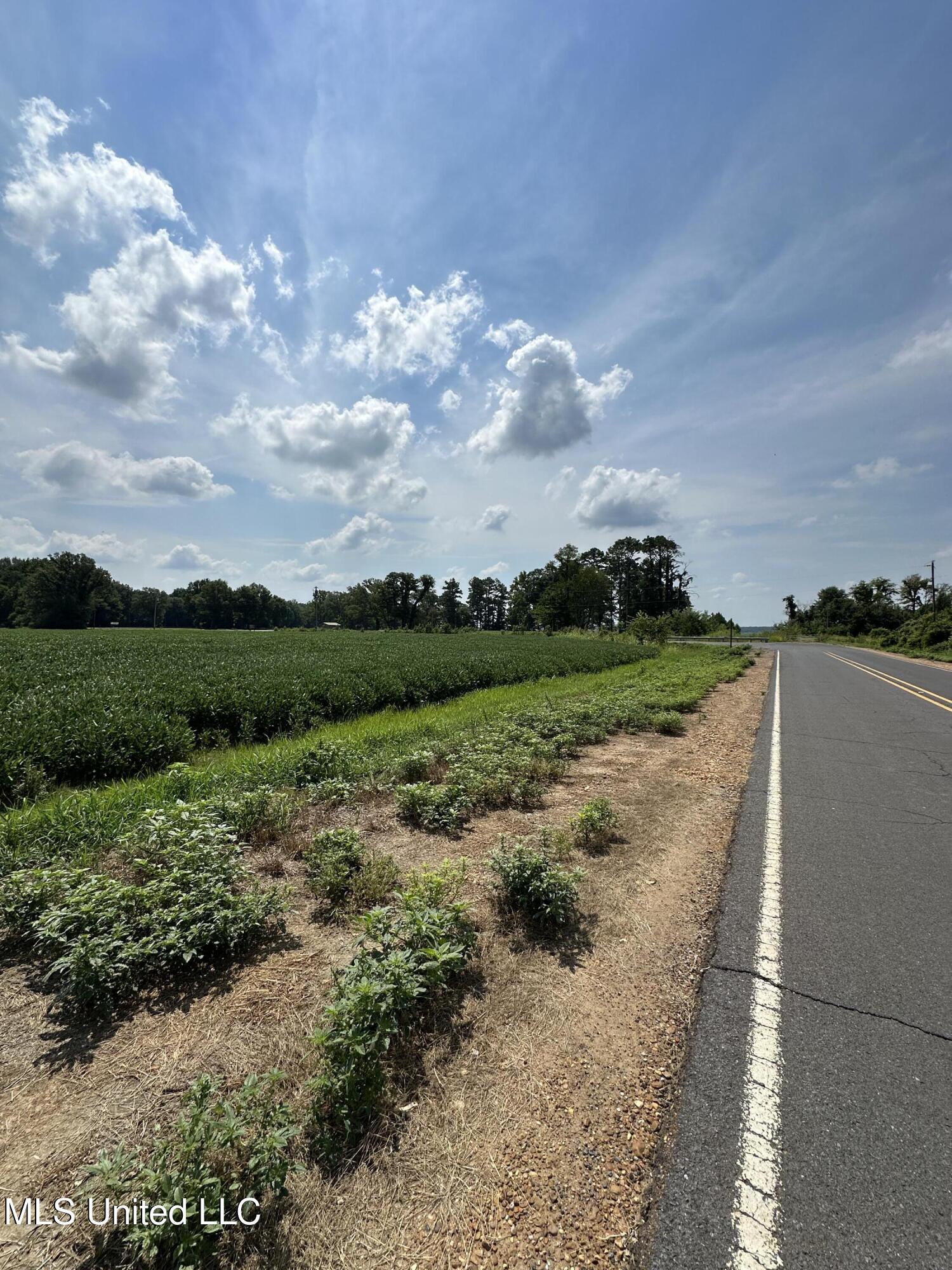0 Wheeler Road Hernando, MS 38632 - Photo 4 of 4 IMG_8165