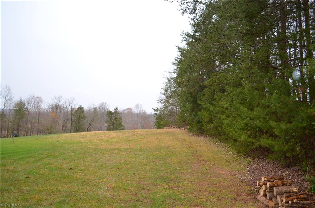 5632 Stone Ridge Drive East Bend, NC 27018 - Photo 1 of 2