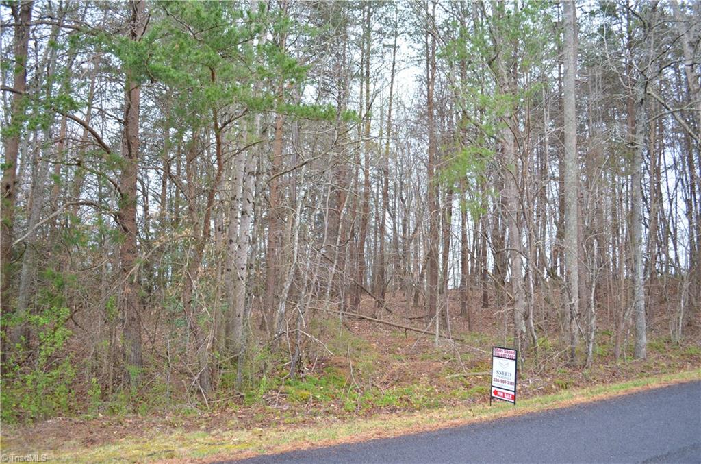 5632 Stone Ridge Drive East Bend, NC 27018 - Photo 2 of 2
