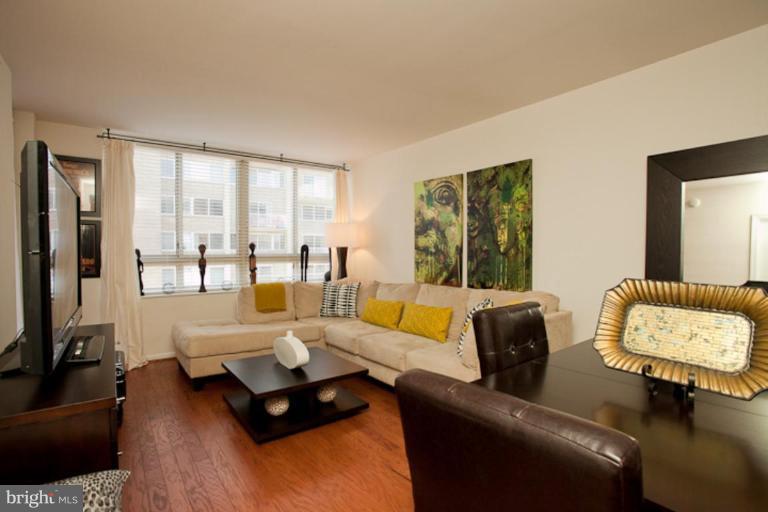 355 I Street Southwest, Unit S412 Washington, DC 20024 - Photo 12 of 30 Other #2