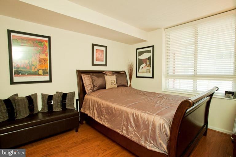 355 I Street Southwest, Unit S412 Washington, DC 20024 - Photo 17 of 30 Bedroom #2