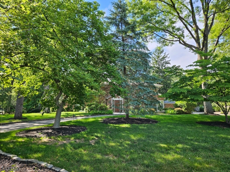 218 Devon Road Essex Fells, NJ 07021 - Photo 24 of 24