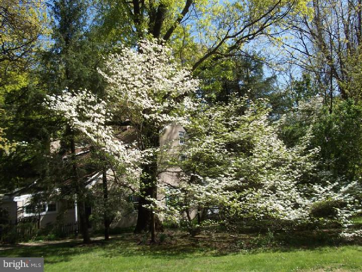 641 Burnham Road Philadelphia, PA 19119 - Photo 8 of 25 View