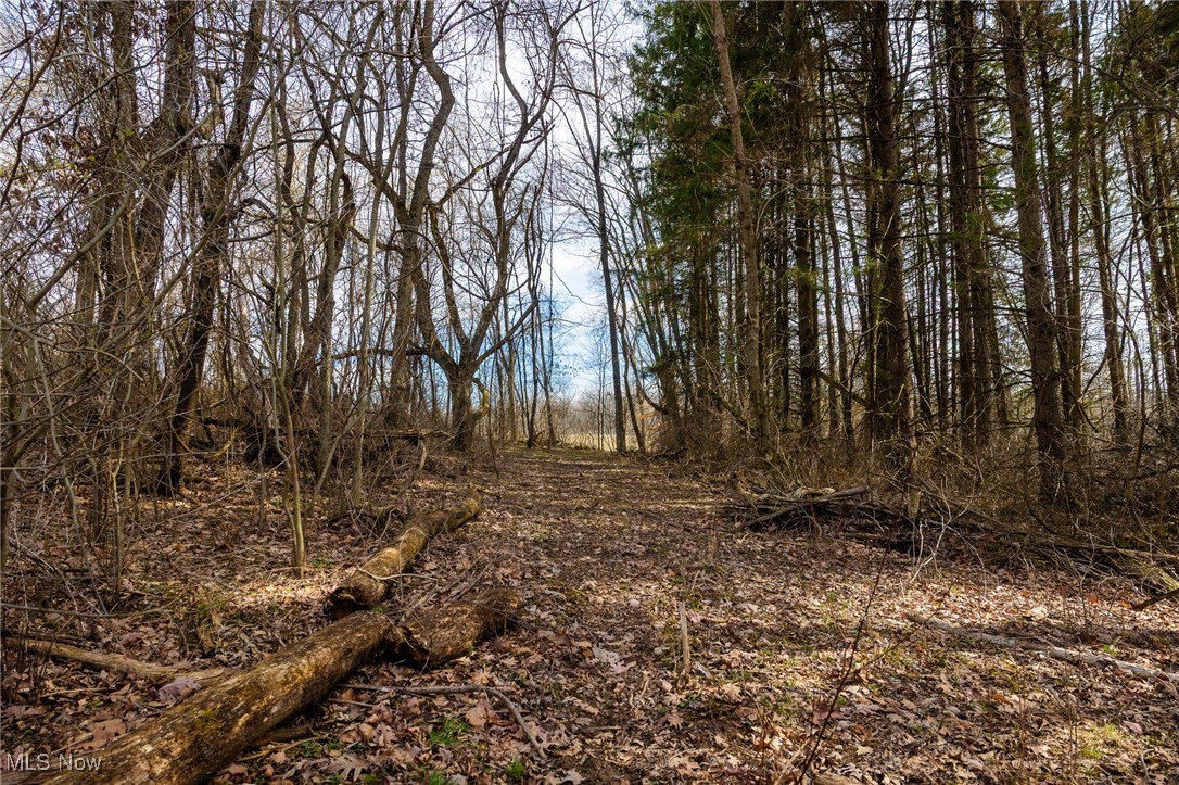 106 Township Road Rayland, OH 43943 - Photo 23 of 48 View of landscape