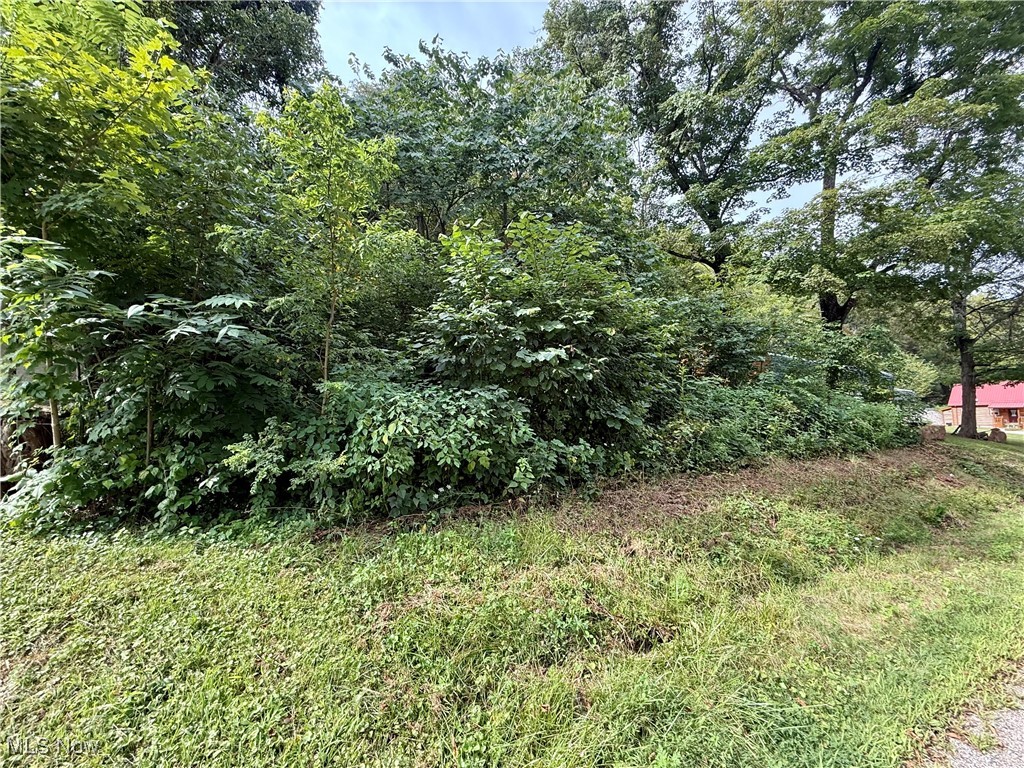 9105 Muskingum River Road Lowell, OH 45744 - Photo 10 of 15 View of undeveloped land