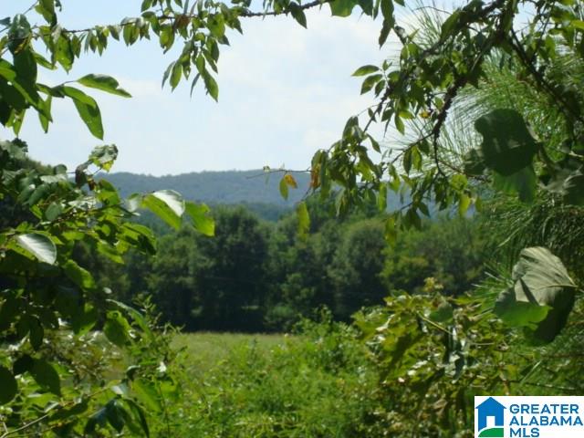 0 Dabbs Road, Unit 19 & 20 Oxford, AL 36203 - Photo 9 of 33