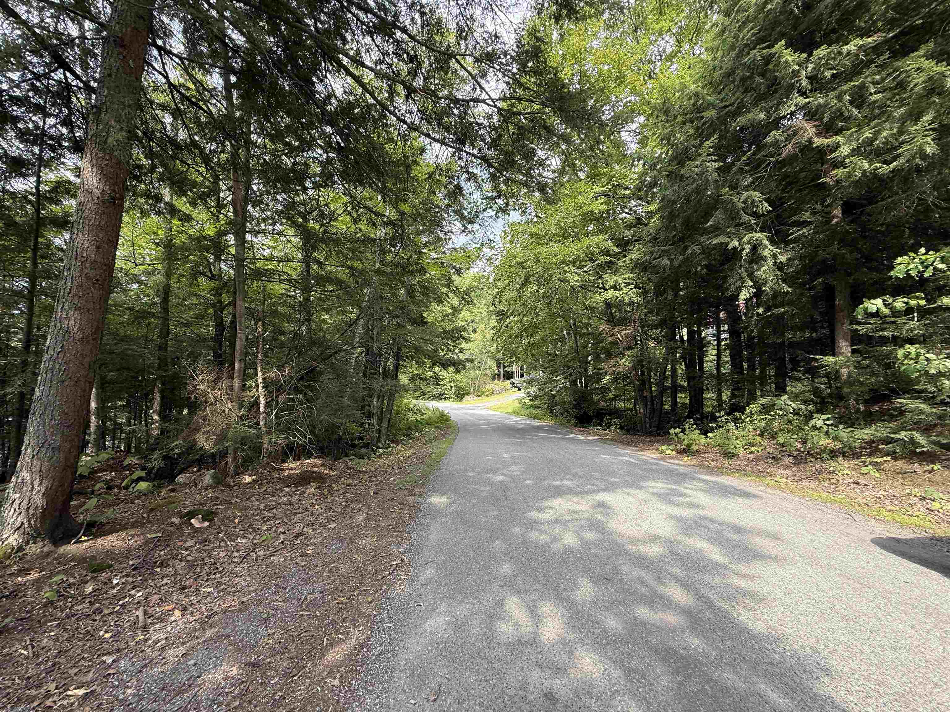 666 Goose Pond Road Canaan, NH 03741 - Photo 10 of 14 Gallery Image 10