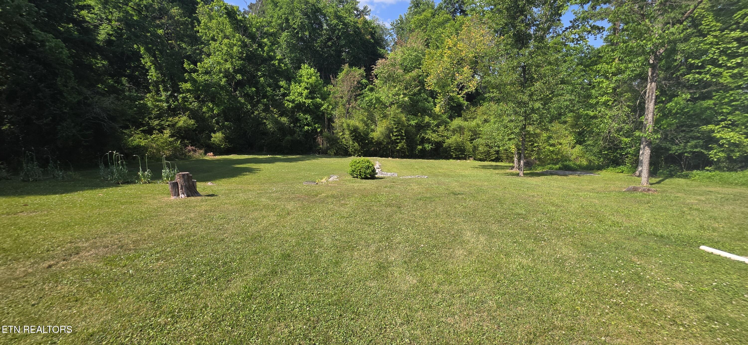 258 East Drive Oak Ridge, TN 37830 - Photo 42 of 42 1000007749