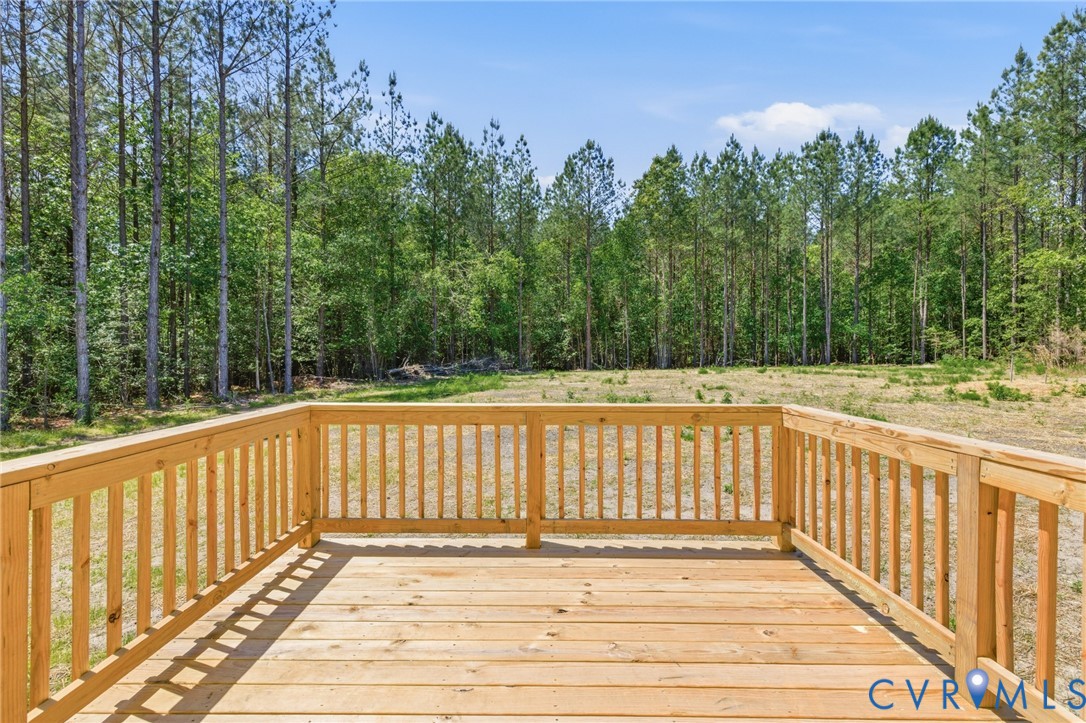 8426 Railroad Bed Road Carson, VA 23830 - Photo 28 of 28