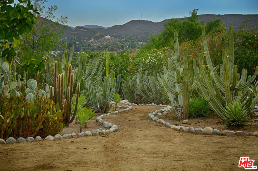 11345 Riverwood Drive Tujunga, CA 91042 - Photo 42 of 54 a view of a yard with plants and a bench