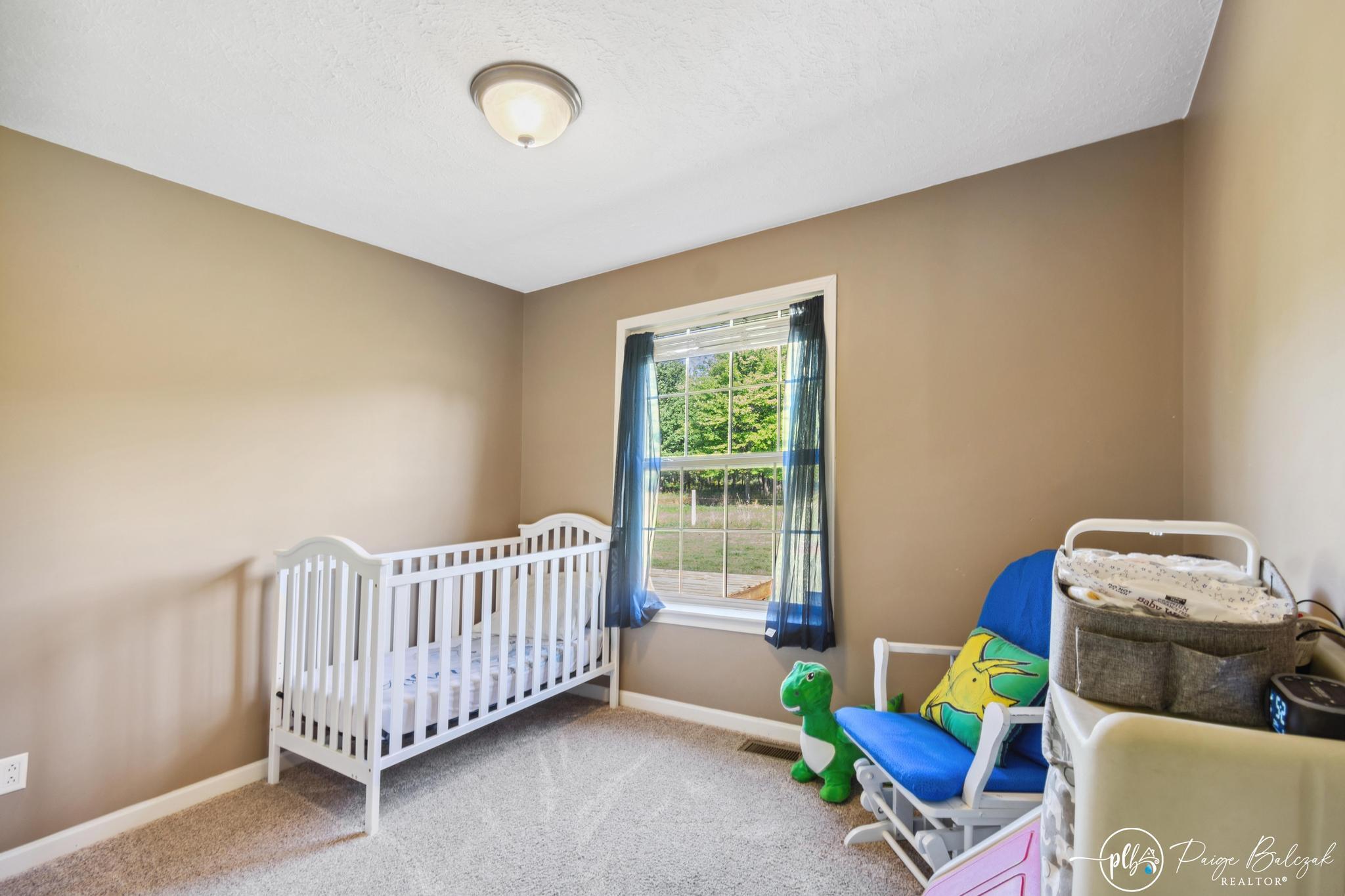 4598 Graff Road Belding, MI 48809 - Photo 24 of 48 DSC_0829