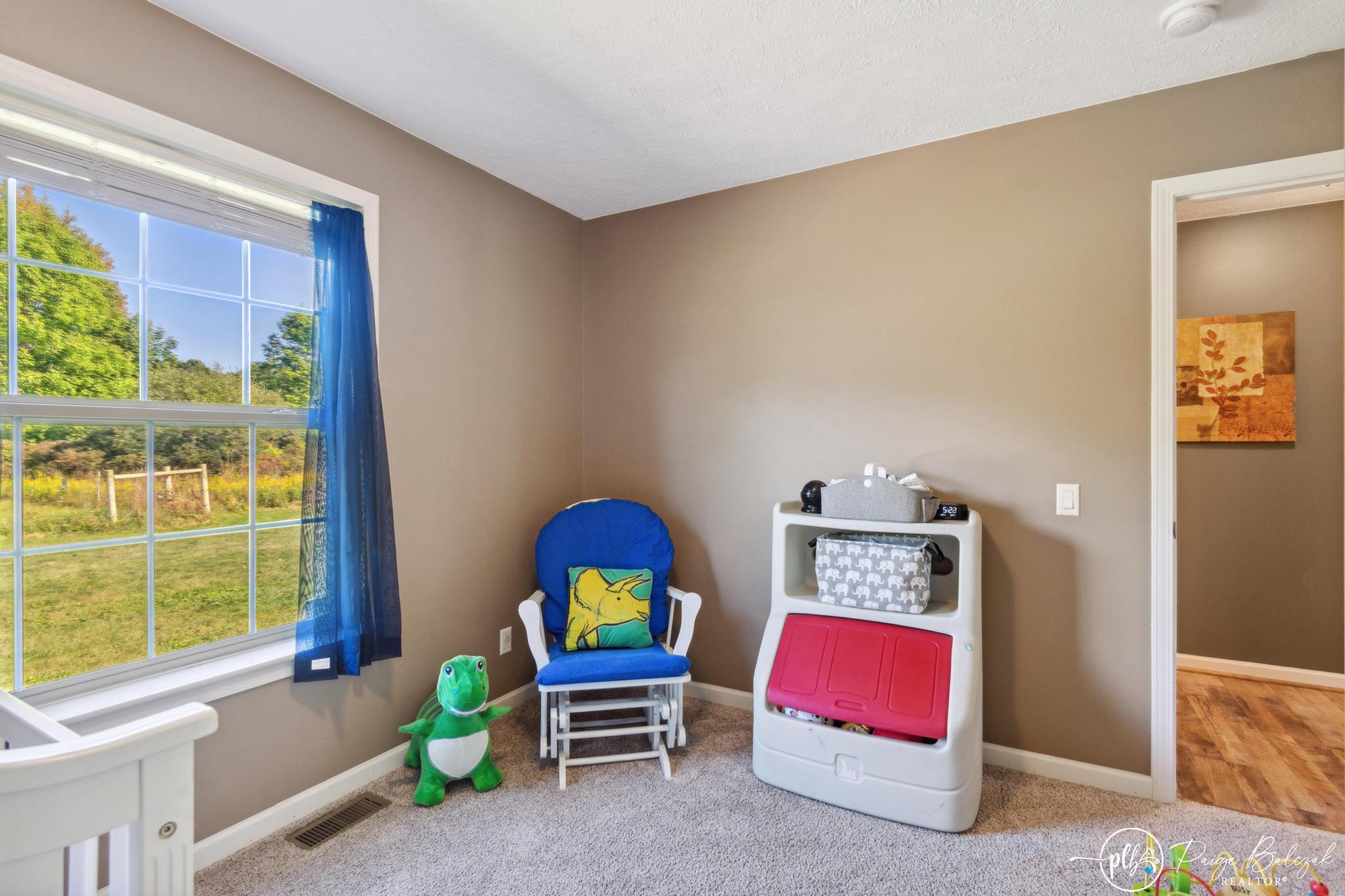 4598 Graff Road Belding, MI 48809 - Photo 25 of 48 DSC_0832