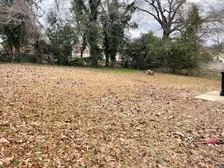 a view of a yard with a trees