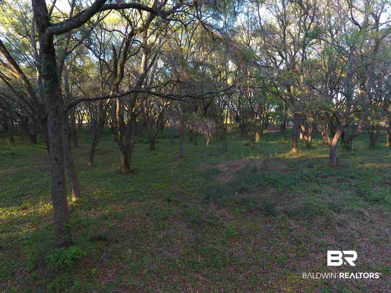 9690 Sherman Road Foley, AL 36535 - Photo 6 of 19