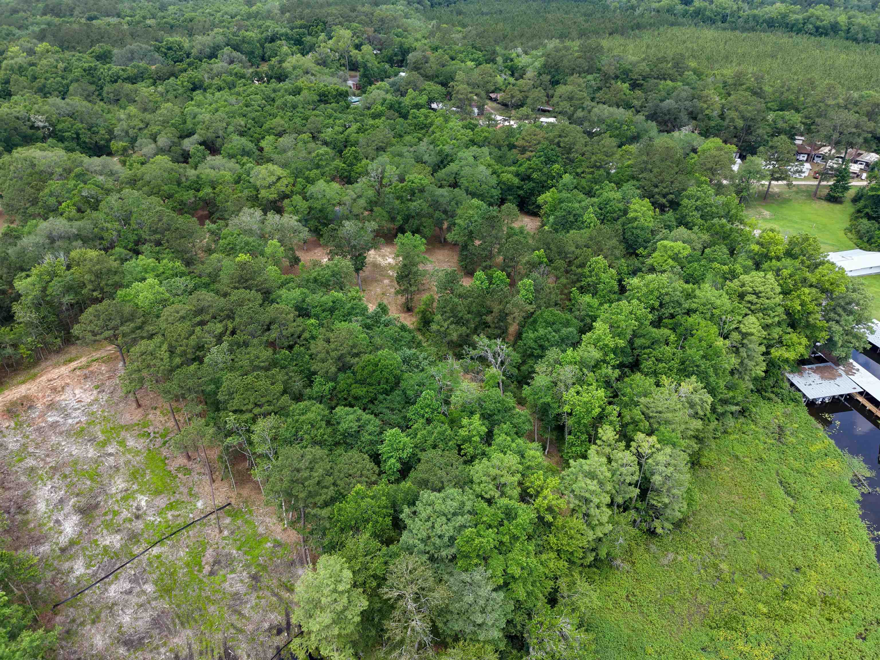 4013 McCall Bridge Road Quincy, FL 32351 - Photo 29 of 37