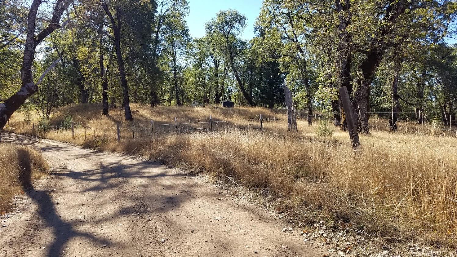 0 Rattlesnake Ridge Road Bridgeville, CA 95526 - Photo 5 of 21